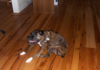 Red Oak flooring, remilled from log house and barn timbers.